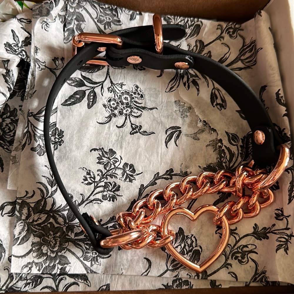 Black vinyl choker, with rose gold hardware.